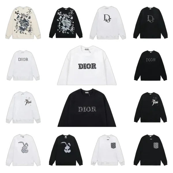Dior Hoodie