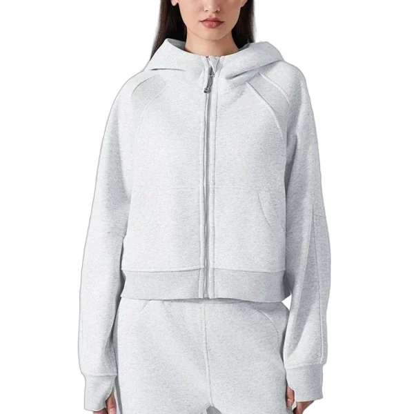 Alo Hoodie
