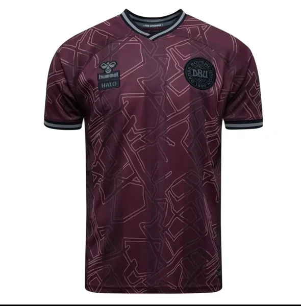 2425 season Denmark home Fan version
