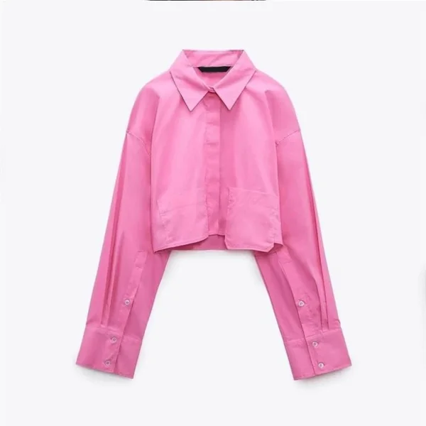 Zara Shirt