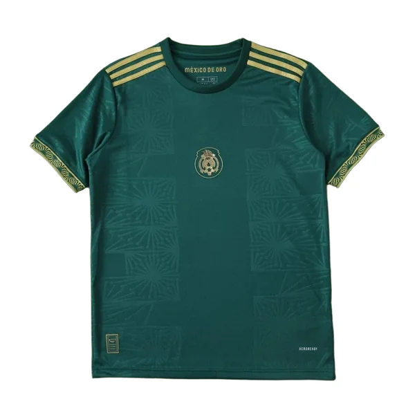 2526 season Mexico Concept version Fan version