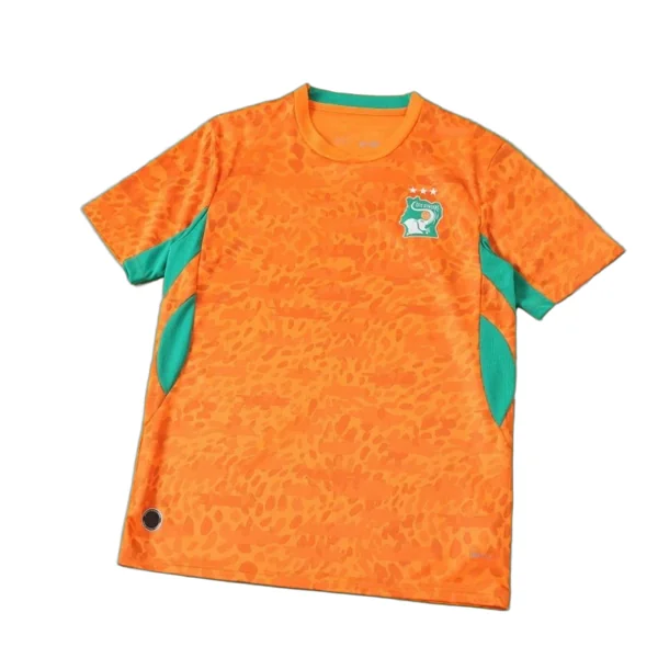 2627 Ivory Coast home Fan version