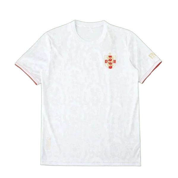 2425 season England Concept version Fan version