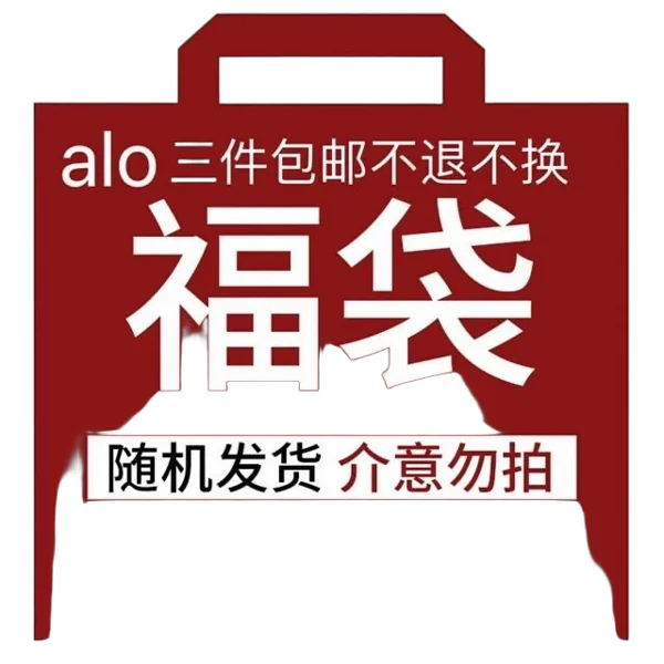 Alo Hoodie